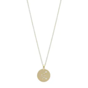 AQUARIUS Zodiac Sign Coin Necklace,  gold-plated
