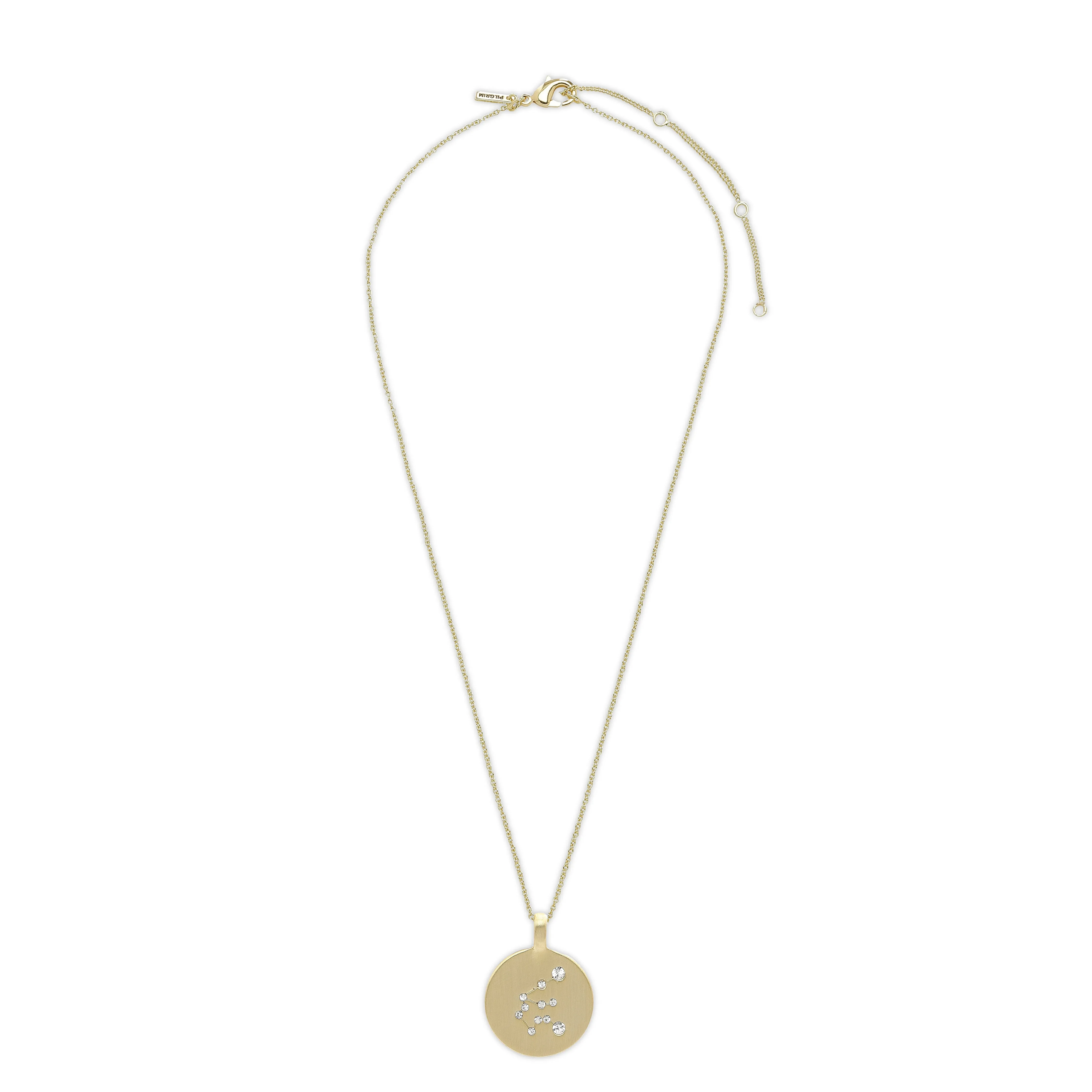 AQUARIUS Zodiac Sign Coin Necklace,  gold-plated