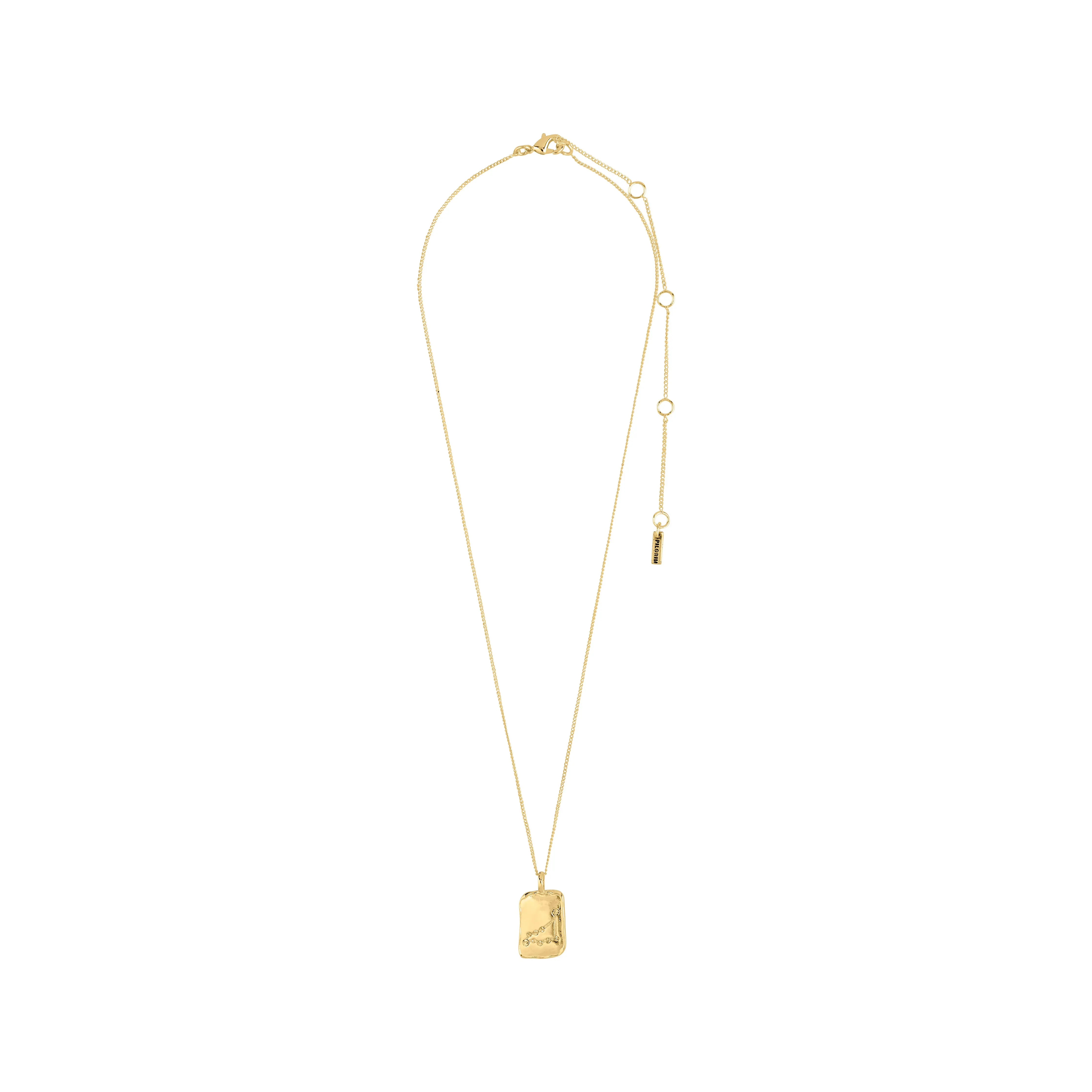 CAPRICORNUS Zodiac Sign necklace, gold-plated