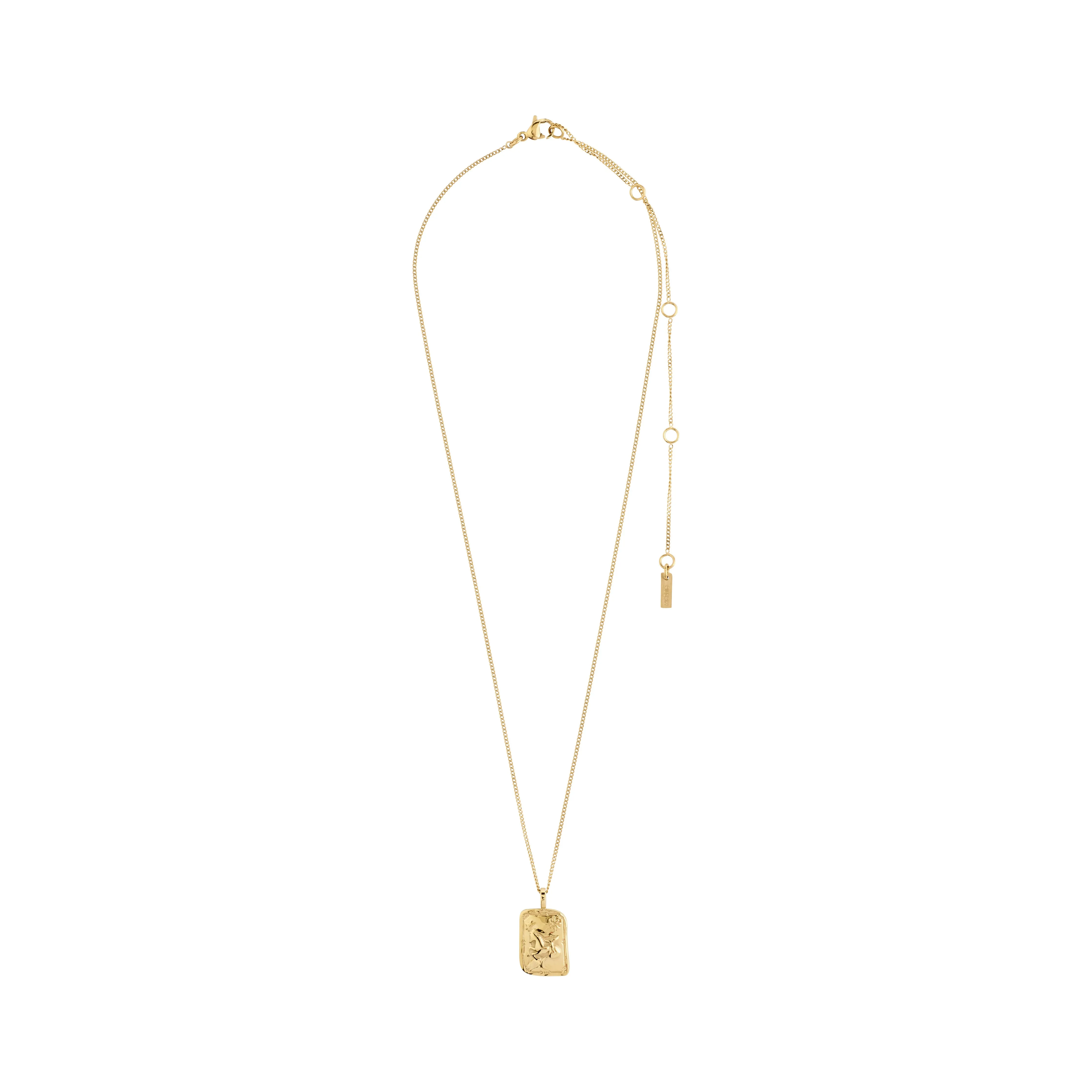 CAPRICORNUS Zodiac Sign necklace, gold-plated