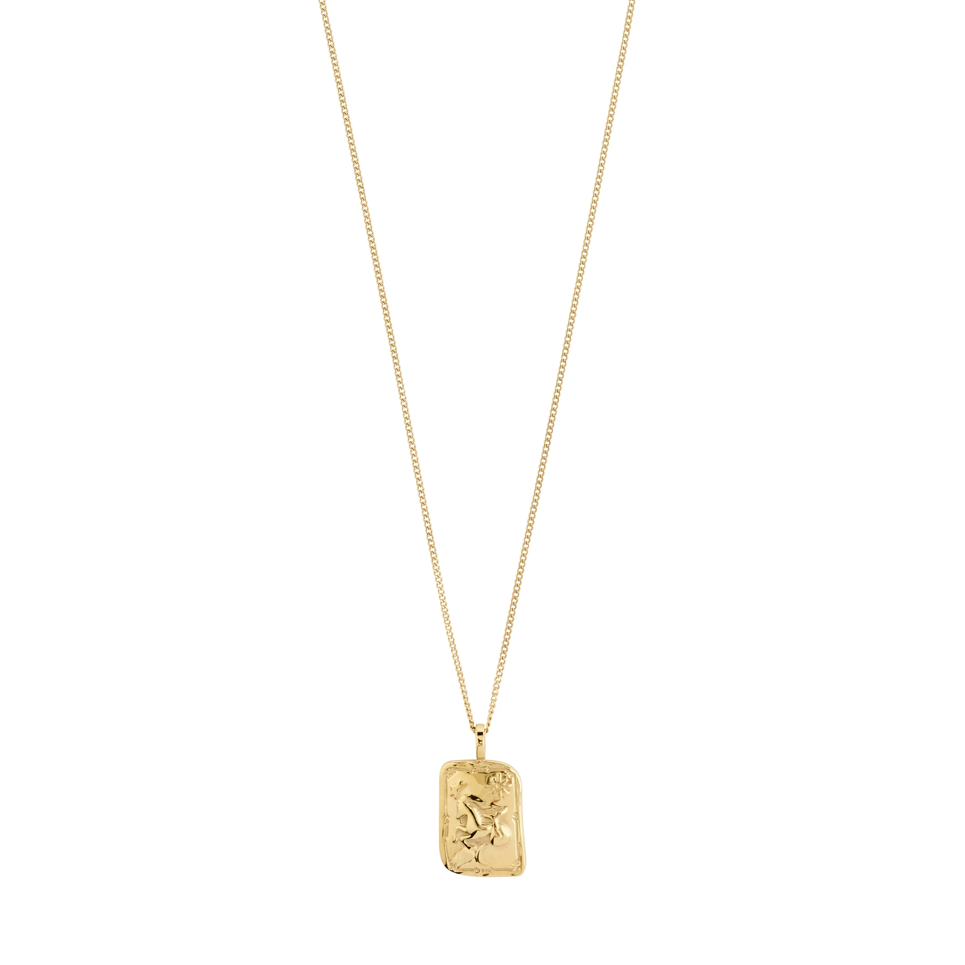 CAPRICORNUS Zodiac Sign necklace, gold-plated