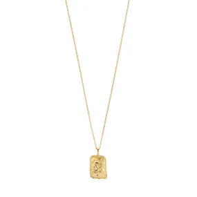 CAPRICORNUS Zodiac Sign necklace, gold-plated
