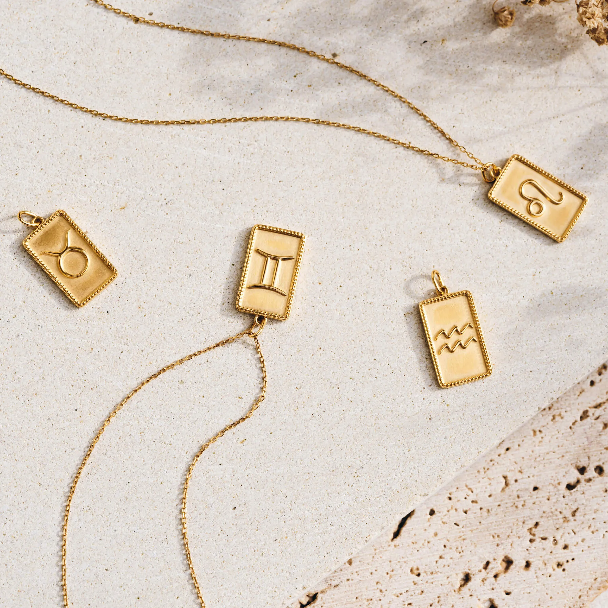 Leo Necklace with Charm Pendant